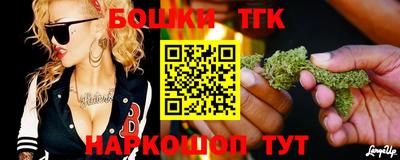 индика Камень-на-Оби
