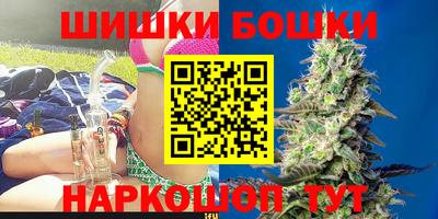 индика Камень-на-Оби