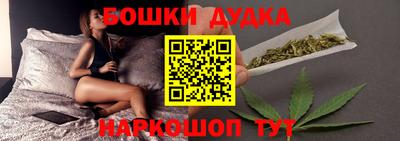 индика Камень-на-Оби