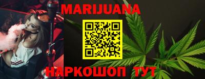 индика Камень-на-Оби