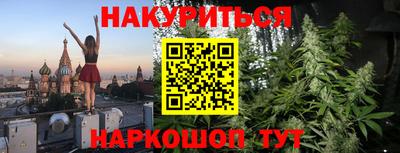 индика Камень-на-Оби