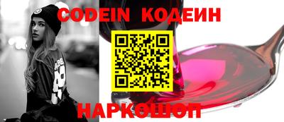 индика Камень-на-Оби
