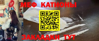 индика Камень-на-Оби