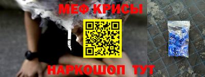 индика Камень-на-Оби