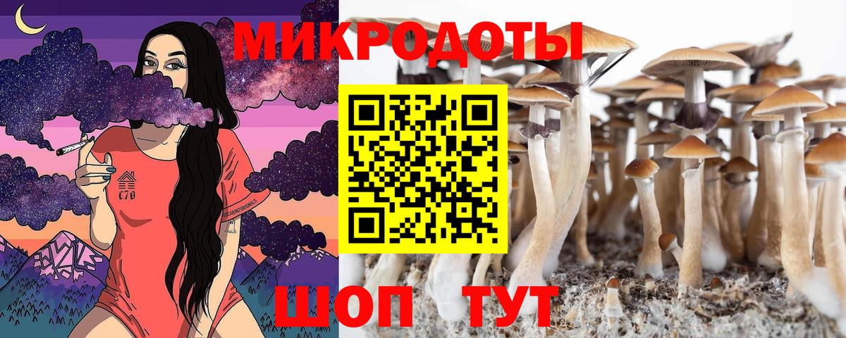 Галлюциногенные грибы MAGIC MUSHROOMS  Вход с VPN  хочу   Добрянка 